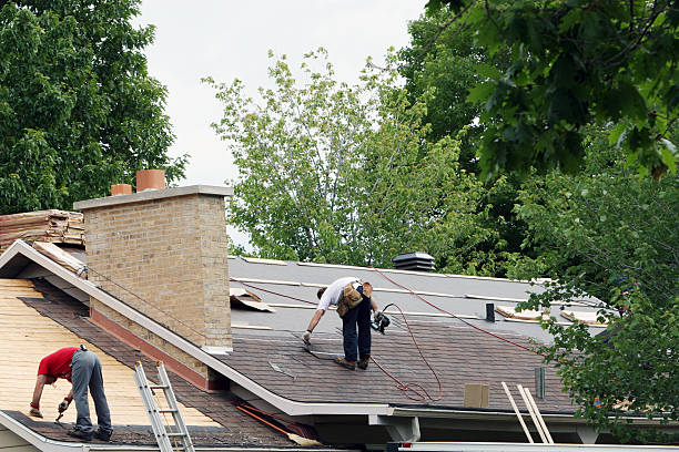 Roof Gutter Cleaning in Brainerd, MN