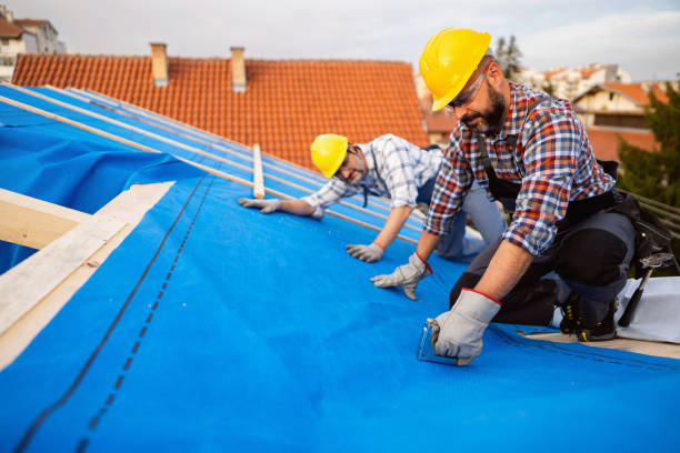 Sealant for Roof in Brainerd, MN