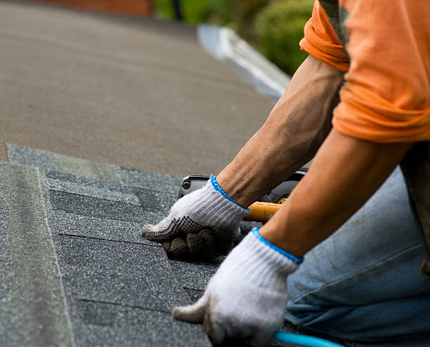Roof Gutter Cleaning in Brainerd, MN